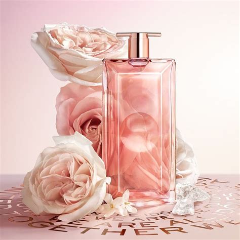 parfum cantik wanita.